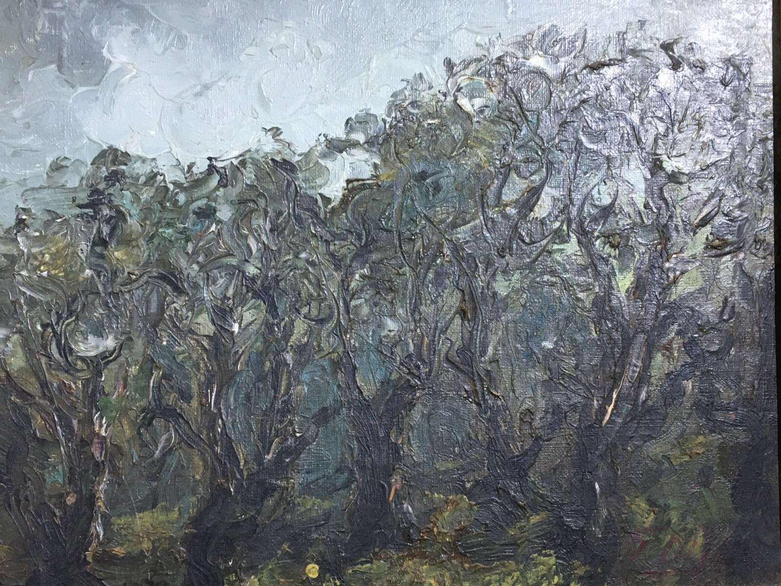 Arte Del '900, Puglia: Giuseppe Di Fino Ulivi In Autunno (Mostra Maggio Di Bari)
