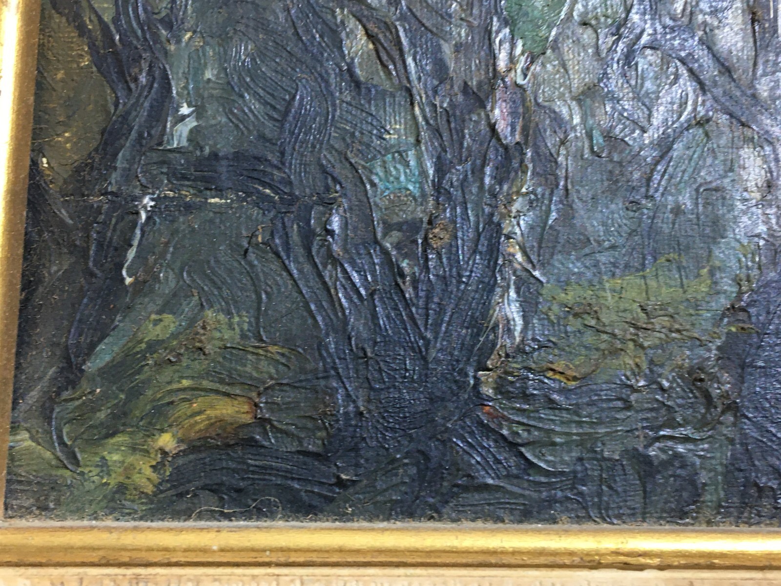 Arte Del '900, Puglia: Giuseppe Di Fino Ulivi In Autunno (Mostra Maggio Di Bari)