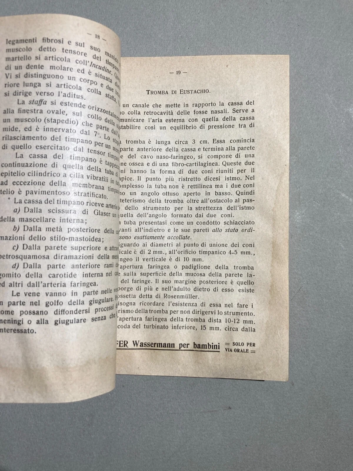 Medicina: Otorinolaringoiatria, Malattie Dell'Orecchio, 1913, foto 9 di 12