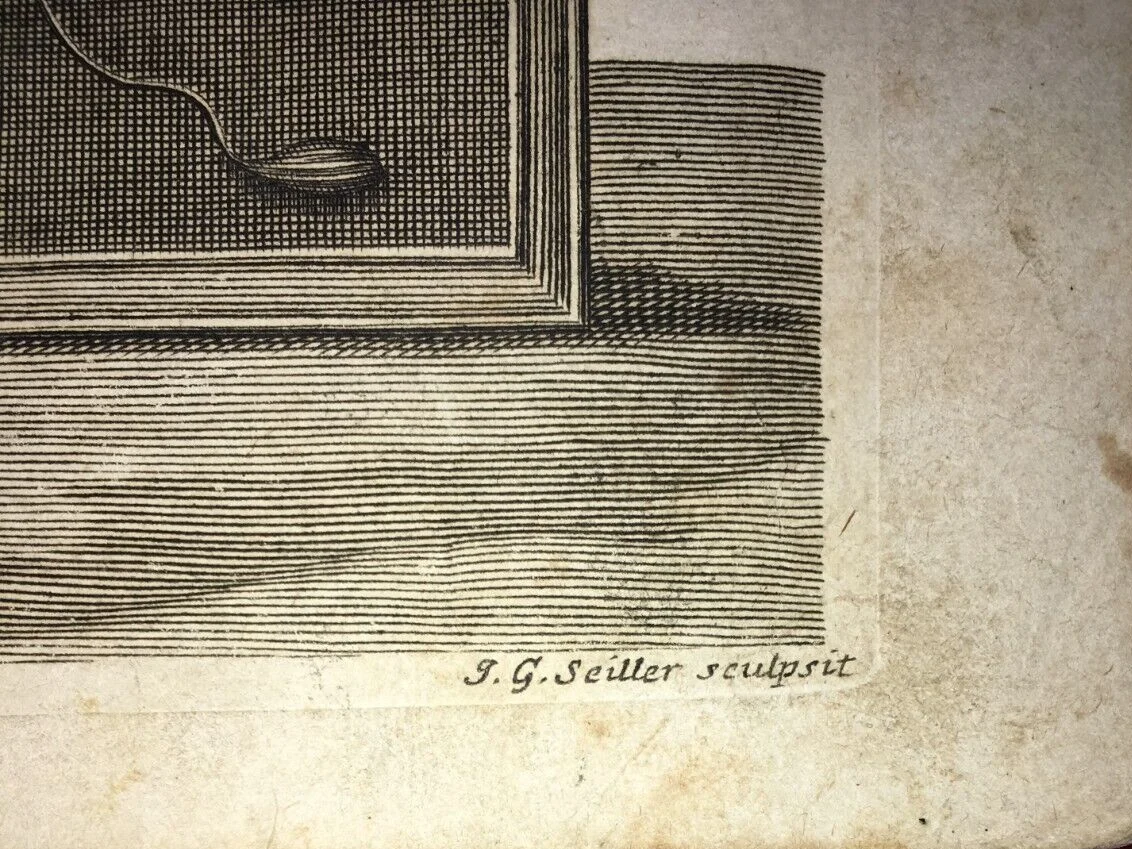 Medicina. Anatomia Umana: Muscoli. Antica Incisione Di Johann Georg Seiller, XVIII Secolo., foto 4 di 4
