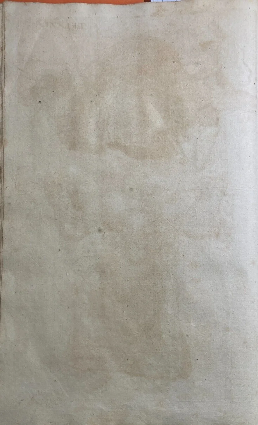 Medicina: Anatomia Umana, Ginecologia, Utero E Ovaie. Incisione Di Hartman, XVIII Secolo, foto 6 di 6