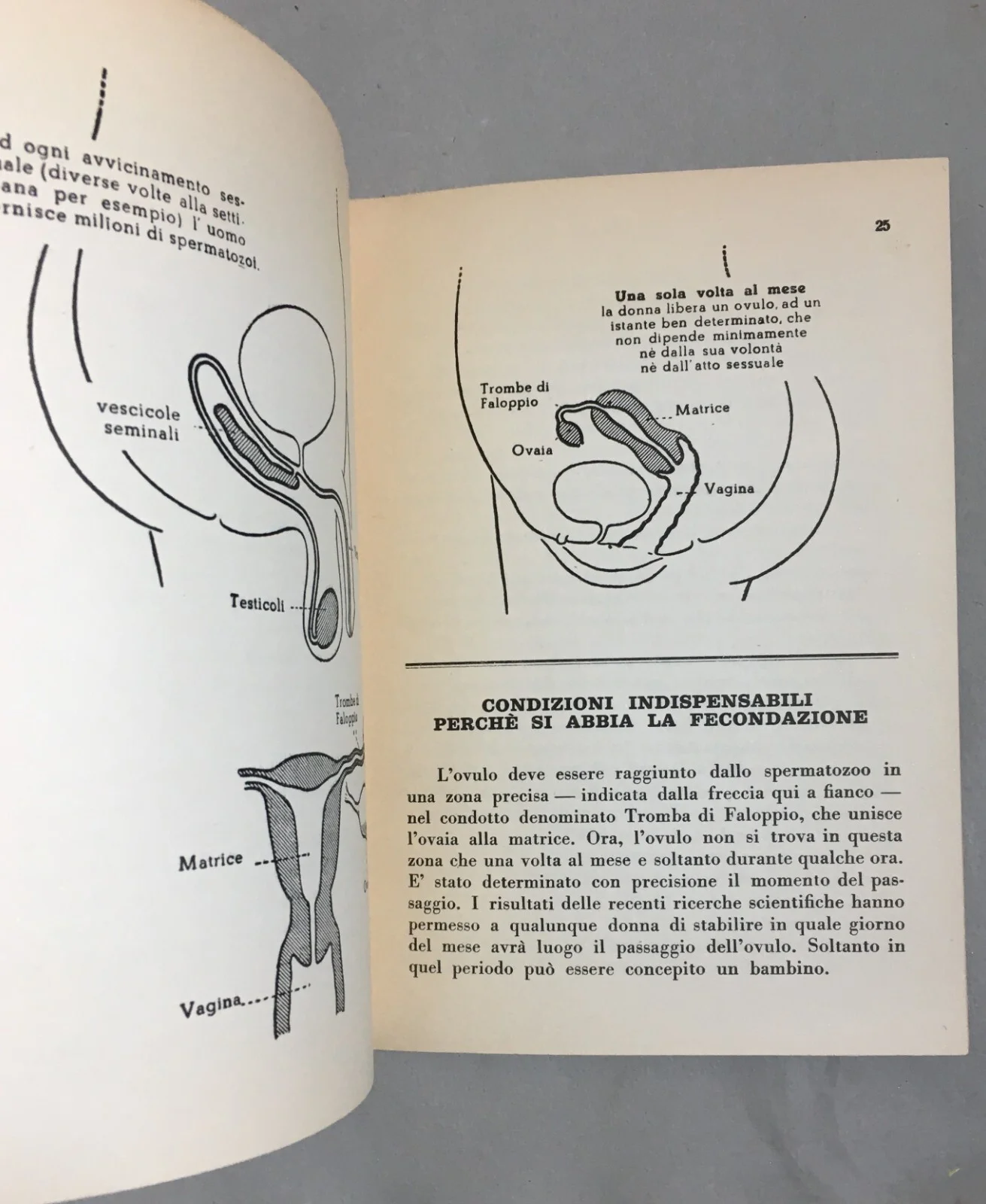 Medicina: Ostetricia, Gravidanza E Limitazione Delle Nascite (Metodo Ogino Knaus), 1954, foto 3 di 7