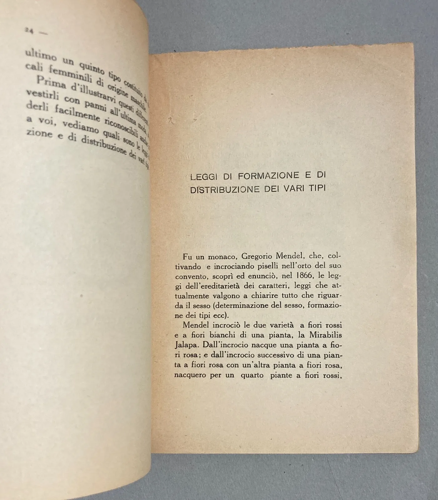 Sessointersessosupersesso: Specchio Per Tutti E Per Ognuno Angelo Signorelli 1928, foto 14 di 15