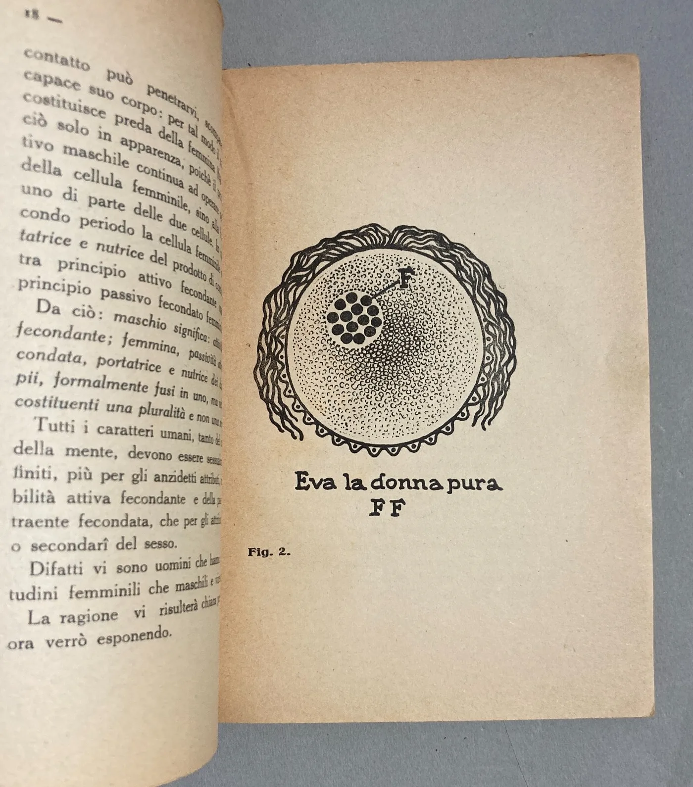 Sessointersessosupersesso: Specchio Per Tutti E Per Ognuno Angelo Signorelli 1928, foto 9 di 15
