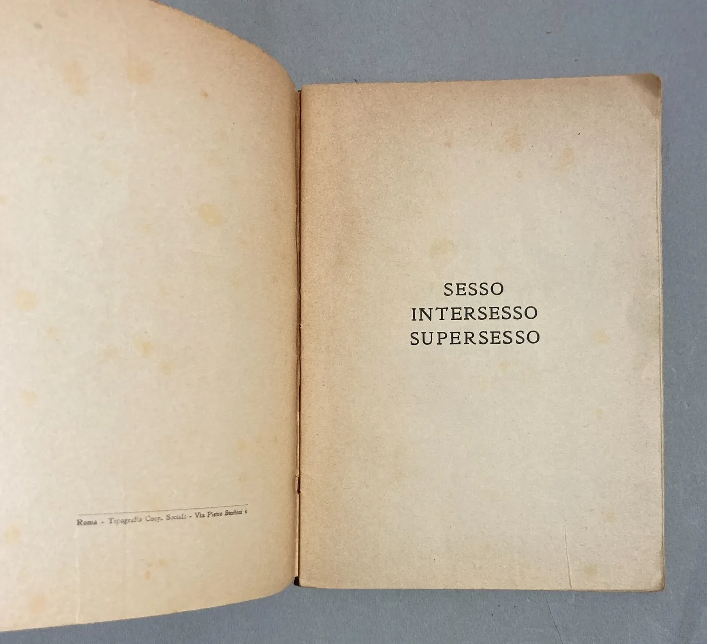 Sessointersessosupersesso: Specchio Per Tutti E Per Ognuno Angelo Signorelli 1928, foto 8 di 15