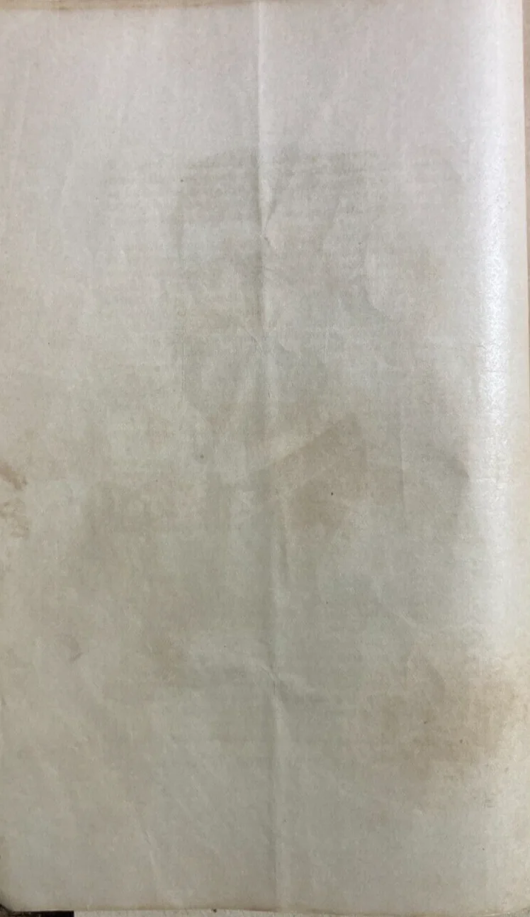 Militaria. Fanteria. Stampa Da Collezione: Capitano Vito Longo