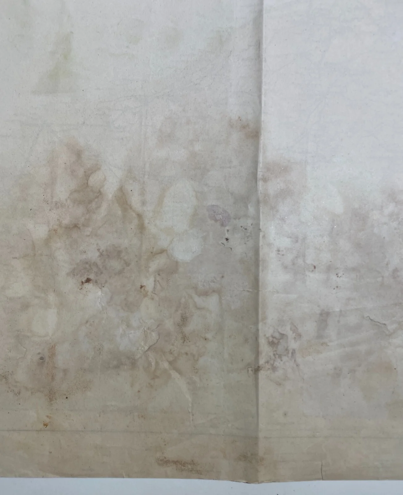 Puglia, Basilicata, Bari, Potenza, Salento, Taranto, Policastro: Antica Cartografia, foto 10 di 12