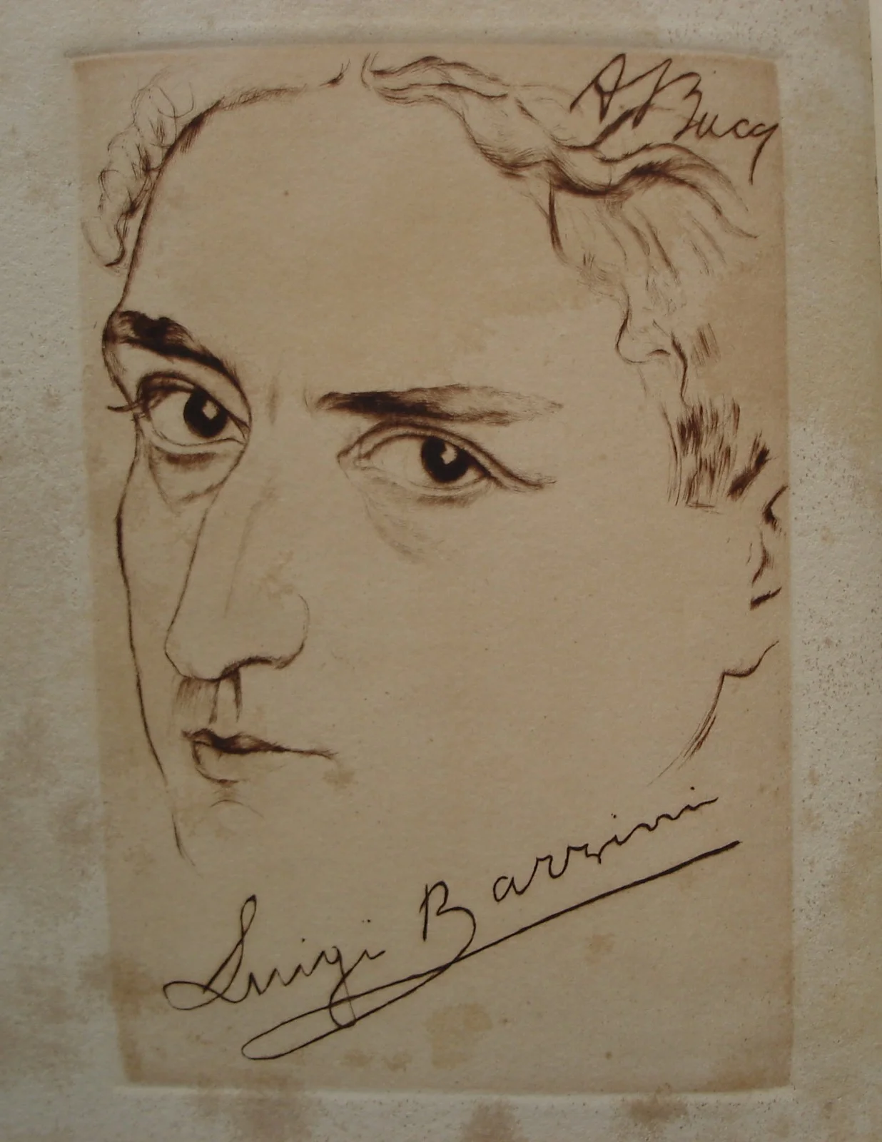 Ritratto di Barzini, Acquaforte di Anselmo Bucci, foto 4 di 5