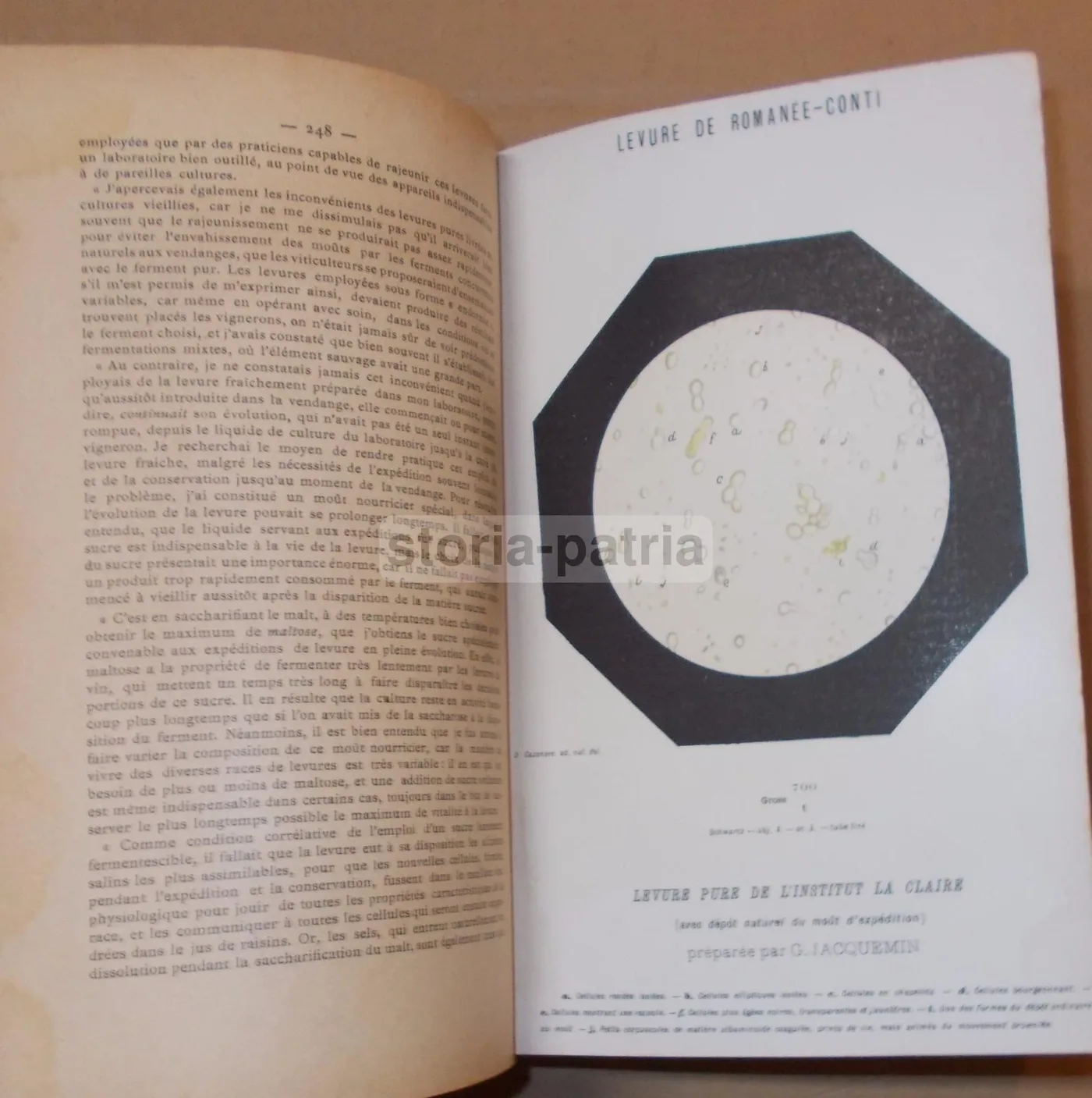La Vinification Moderne 1903: Jacquemin & Alliot Enologia E Viticoltura