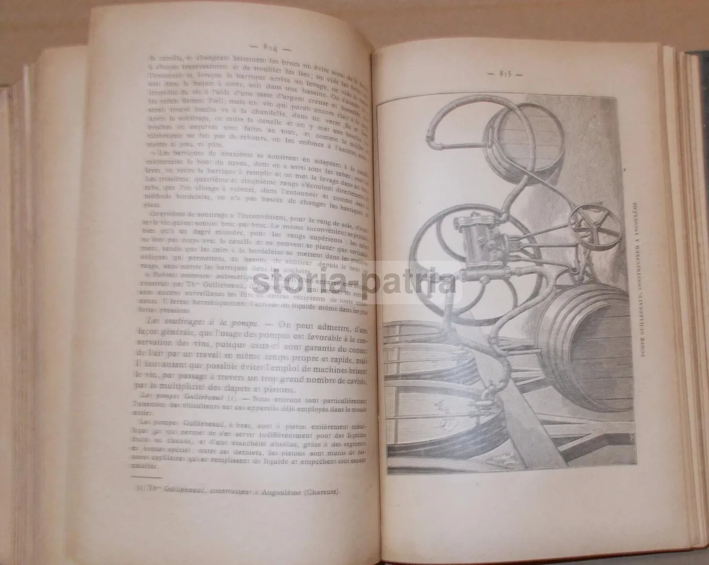 La Vinification Moderne 1903: Jacquemin & Alliot Enologia E Viticoltura, foto 6 di 29