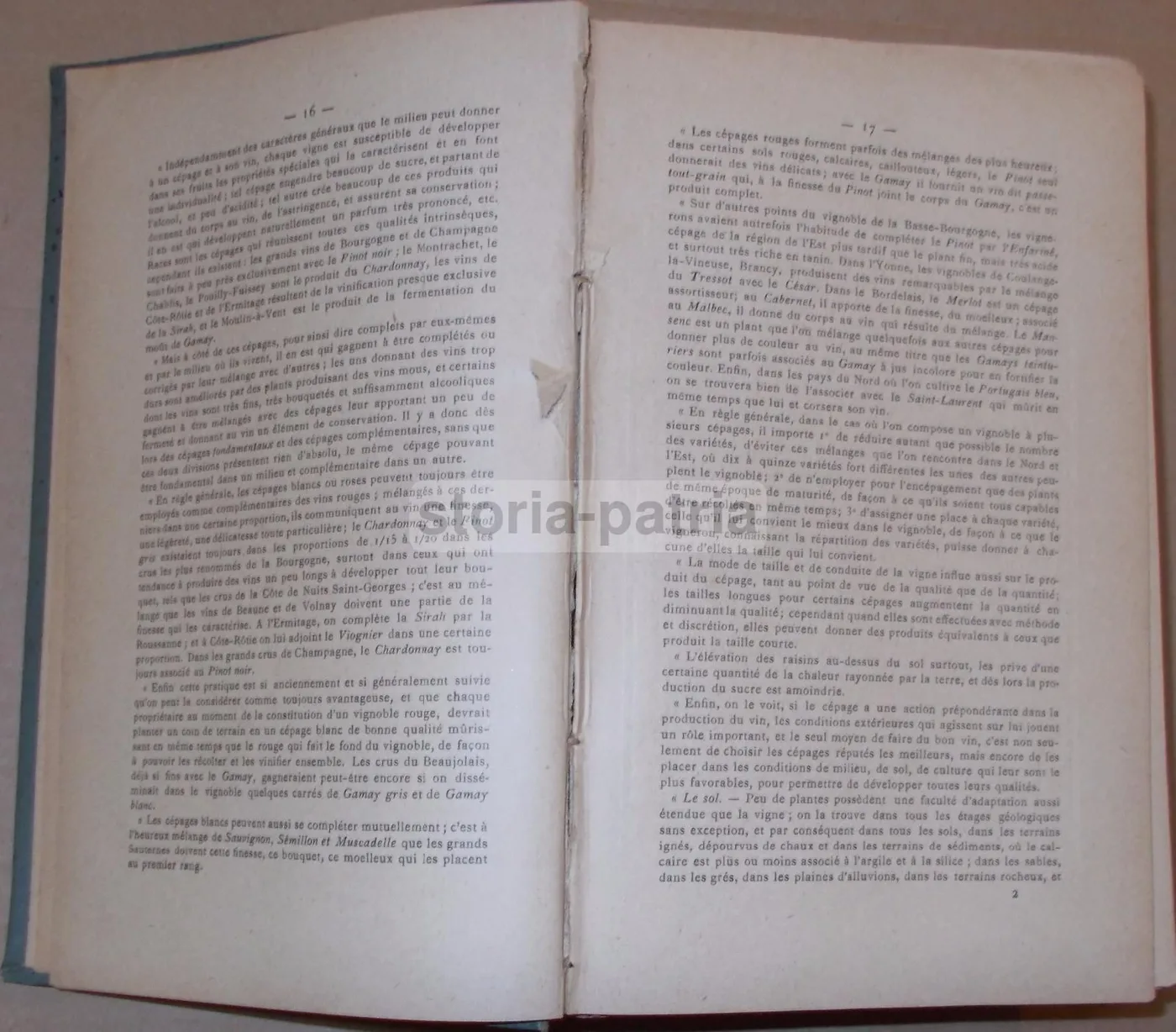 La Vinification Moderne 1903: Jacquemin & Alliot Enologia E Viticoltura, foto 12 di 29