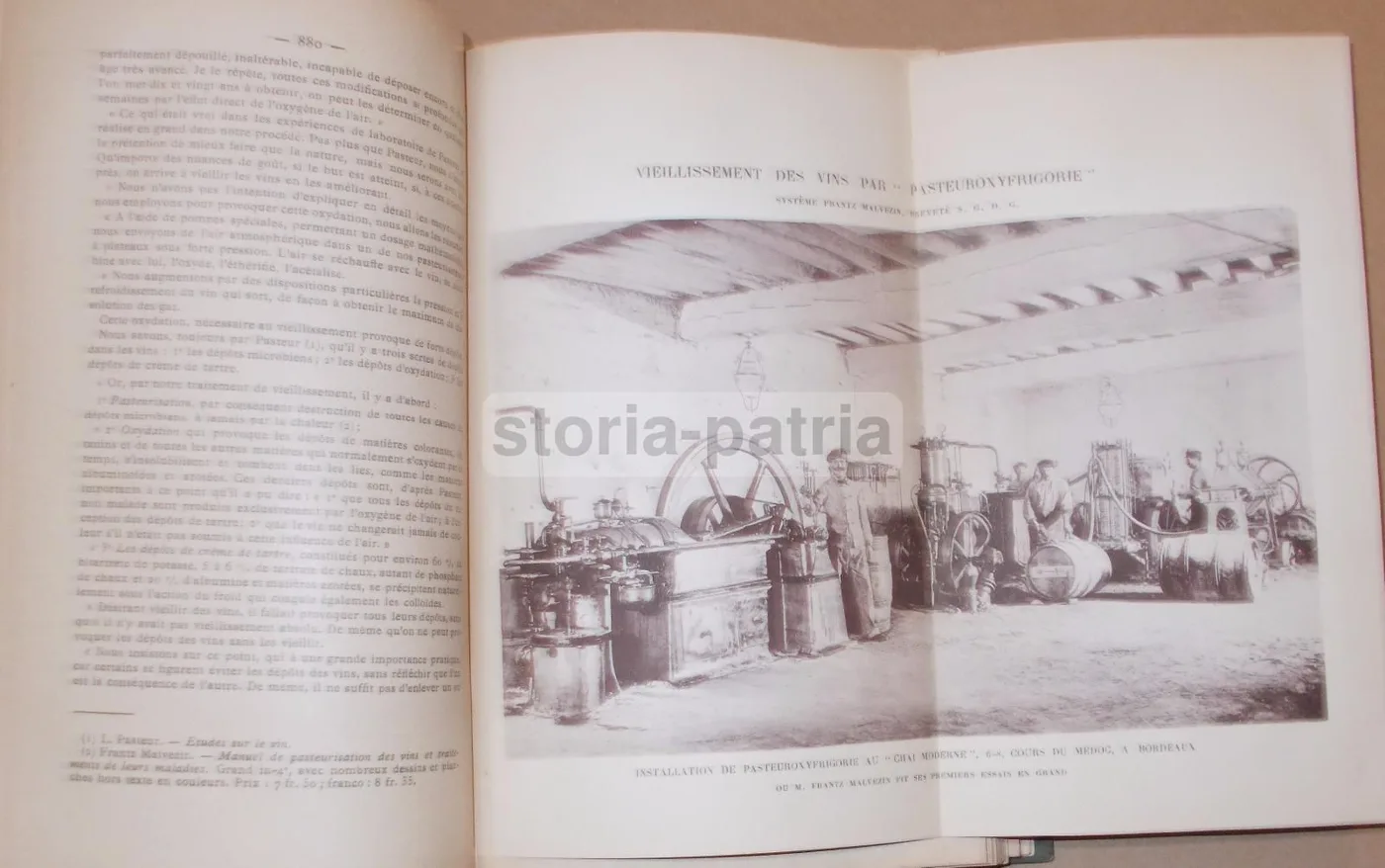 La Vinification Moderne 1903: Jacquemin & Alliot Enologia E Viticoltura, foto 3 di 29
