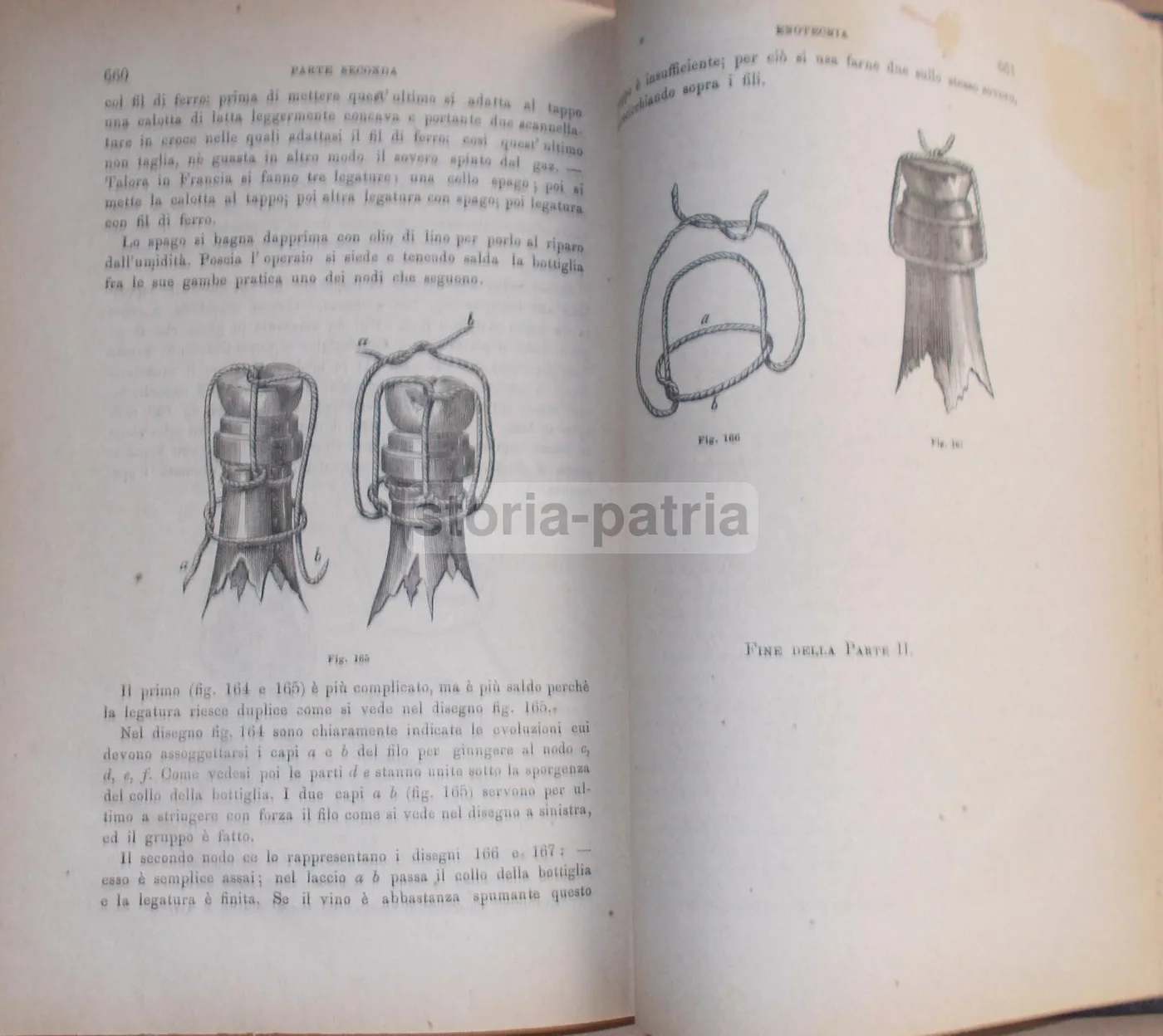 Enologia Teorico Pratica Di Ottavio Ottavi 1882 Vini E Spumanti, foto 7 di 12