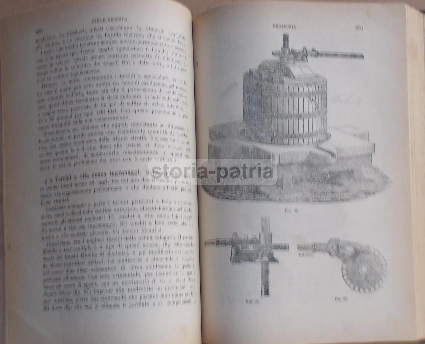 Enologia Teorico Pratica Di Ottavio Ottavi 1882 Vini E Spumanti, foto 5 di 12