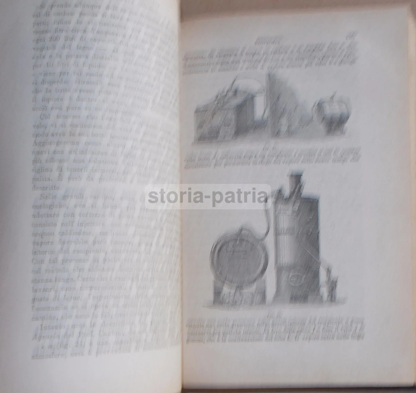 Enologia Teorico Pratica Di Ottavio Ottavi 1882 Vini E Spumanti, foto 6 di 12