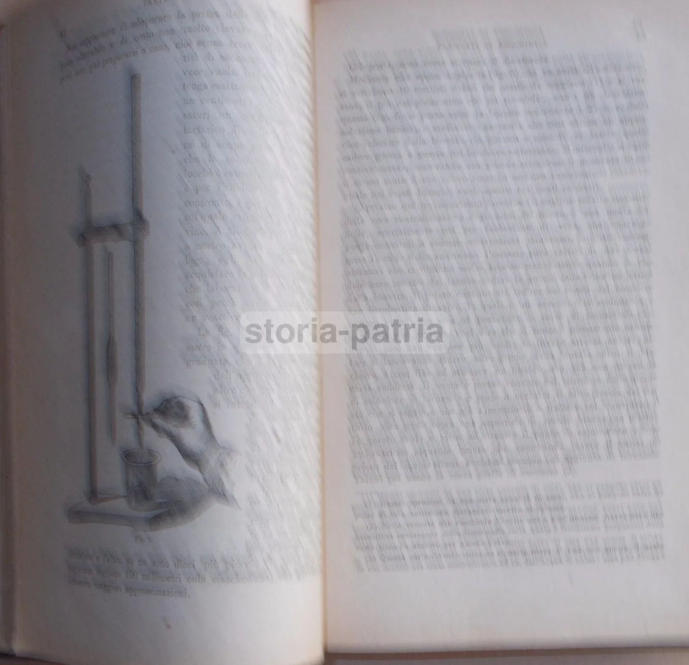 Enologia Teorico Pratica Di Ottavio Ottavi 1882 Vini E Spumanti, foto 11 di 12