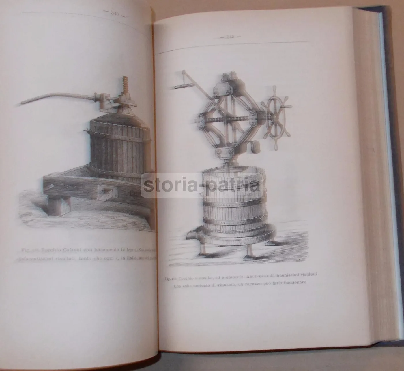 Viticoltura Ed Enologia Di Egidio Pollacci: Teoria E Pratica (1883), foto 16 di 24