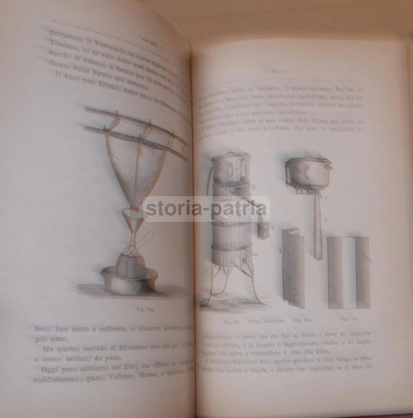 Viticoltura Ed Enologia Di Egidio Pollacci: Teoria E Pratica (1883), foto 17 di 24