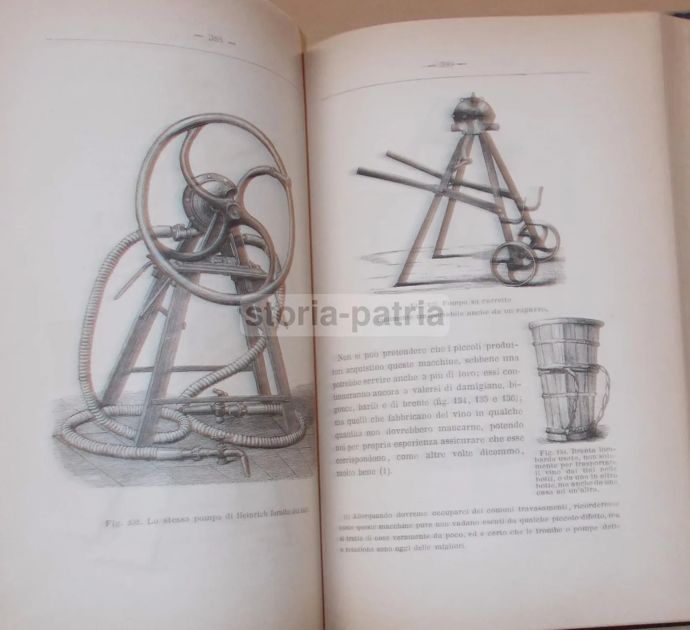 Viticoltura Ed Enologia Di Egidio Pollacci: Teoria E Pratica (1883), foto 2 di 24