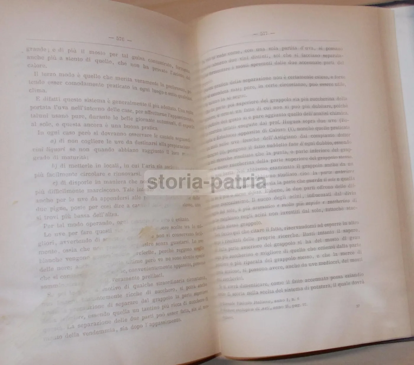 Viticoltura Ed Enologia Di Egidio Pollacci: Teoria E Pratica (1883), foto 21 di 24