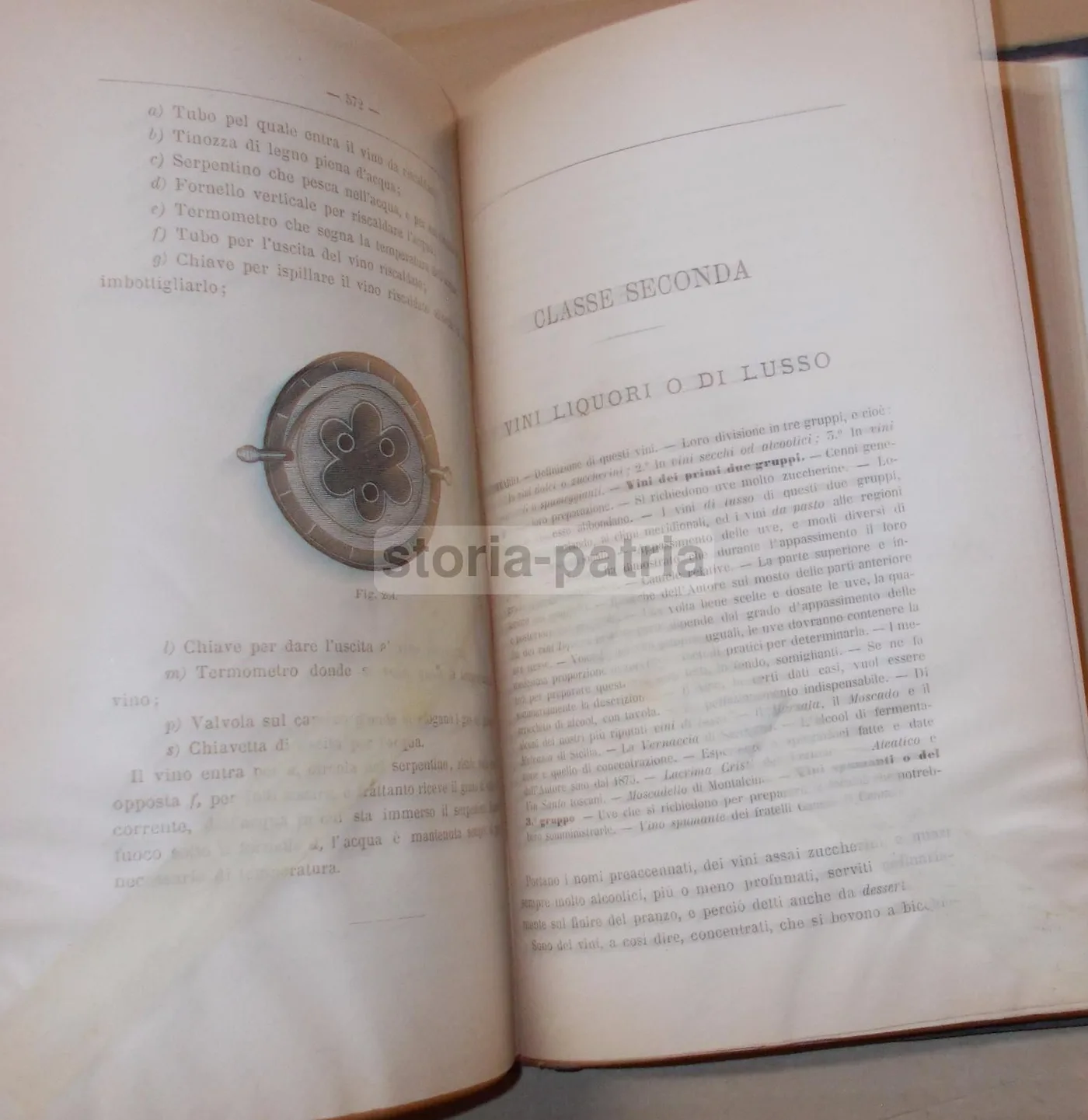 Viticoltura Ed Enologia Di Egidio Pollacci: Teoria E Pratica (1883), foto 22 di 24