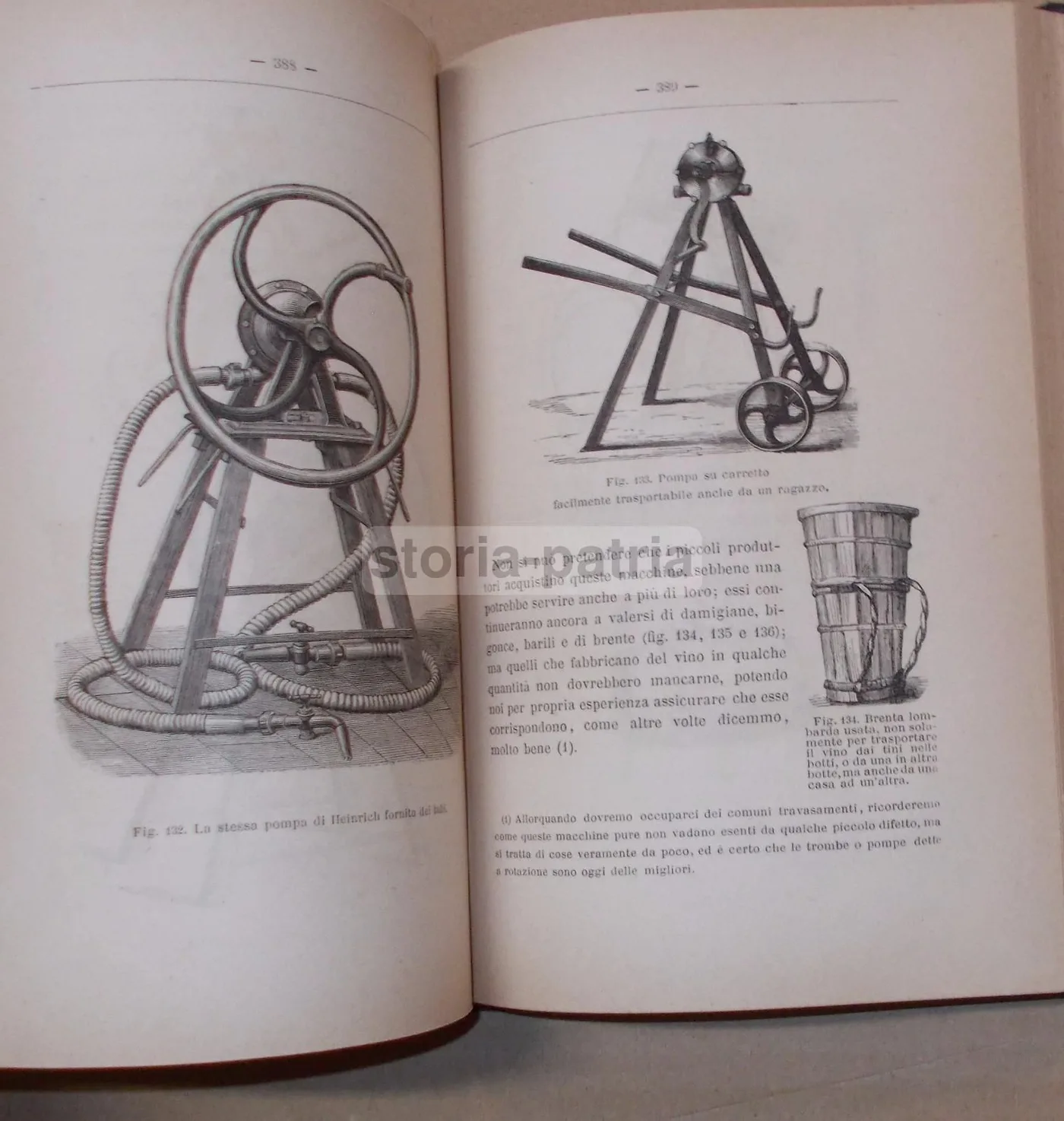 Viticoltura Ed Enologia Di Egidio Pollacci: Teoria E Pratica (1883), foto 18 di 24