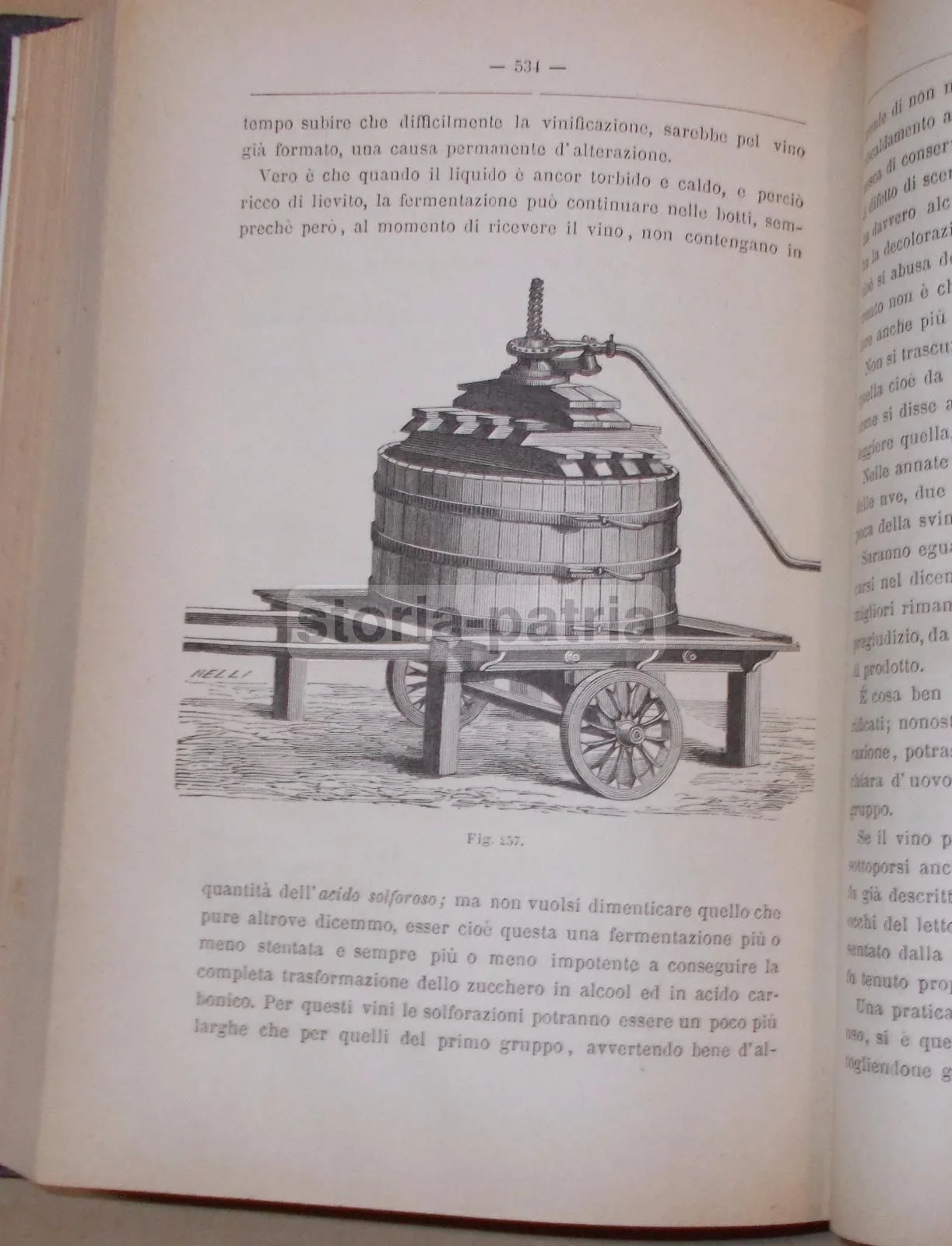 Viticoltura Ed Enologia Di Egidio Pollacci: Teoria E Pratica (1883), foto 11 di 24