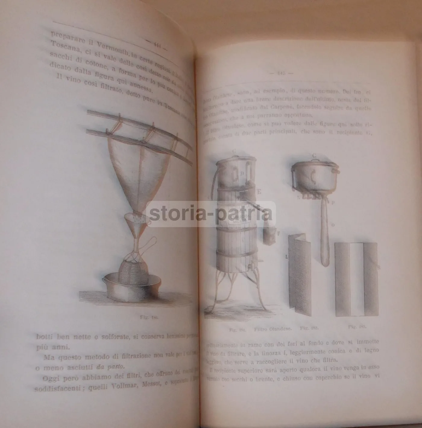 Viticoltura Ed Enologia Di Egidio Pollacci: Teoria E Pratica (1883), foto 7 di 24