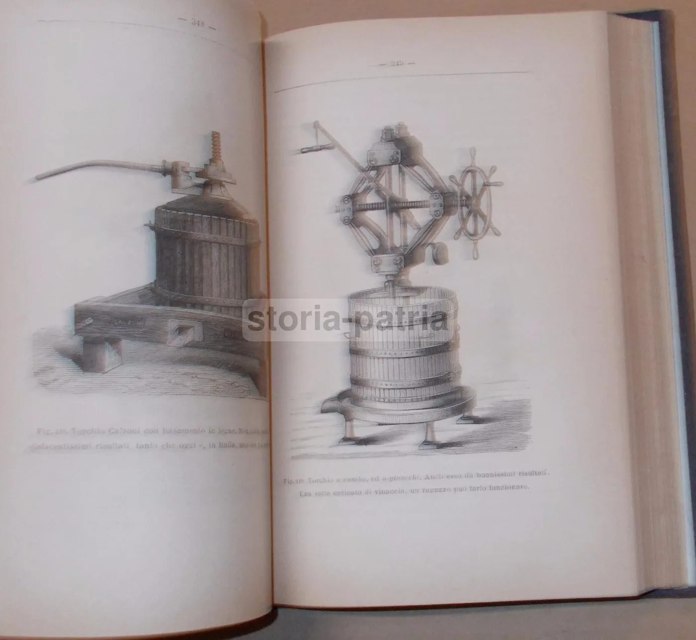 Viticoltura Ed Enologia Di Egidio Pollacci: Teoria E Pratica (1883), foto 24 di 24