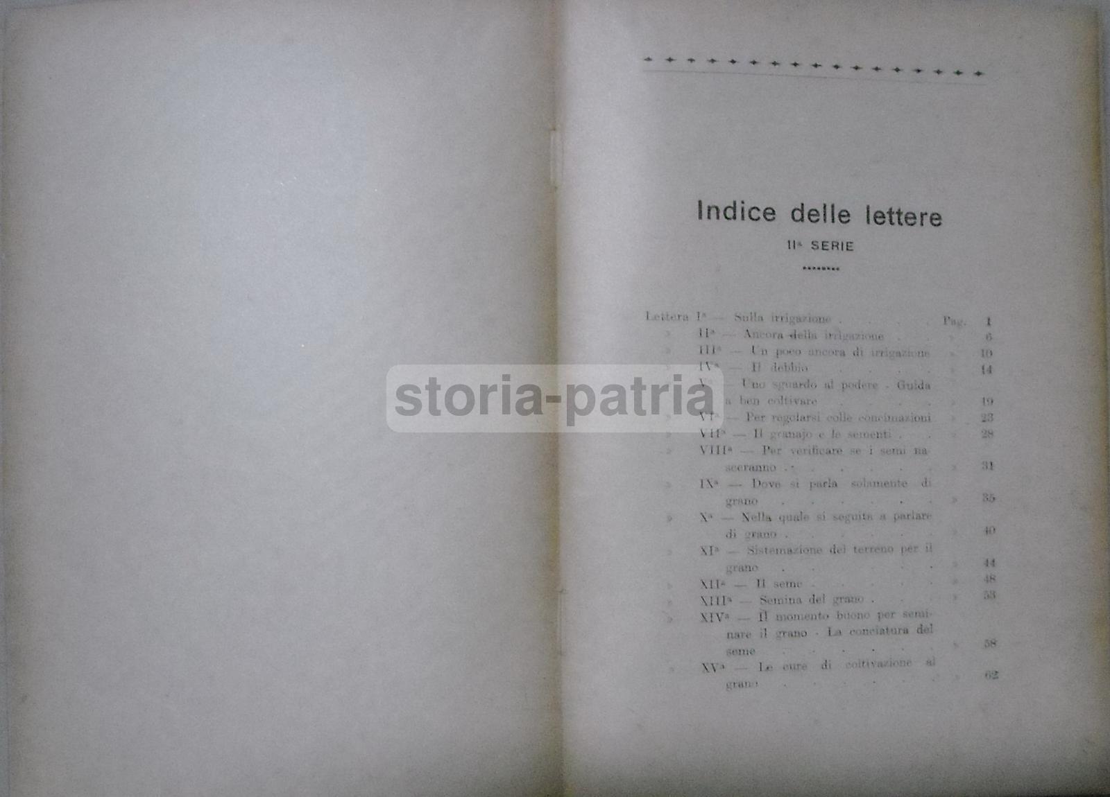 Agricoltura, Coltivazioni, Frumento, Grano, Segala, Avena, Granoturco, Poggi, Brescia immagine 2