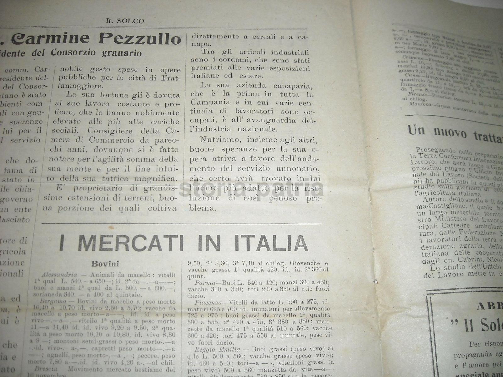 Agricoltura Meridionale, Napoli, Puglia, Frutta, Sementi, Lino, Pezzullo, La Bella, 1921 immagine 3