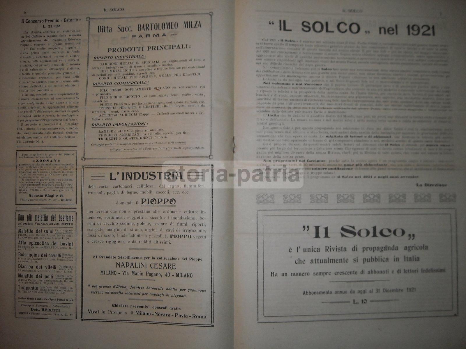 Agricoltura Meridionale, Napoli, Puglia, Frutta, Sementi, Lino, Pezzullo, La Bella, 1921 immagine 4