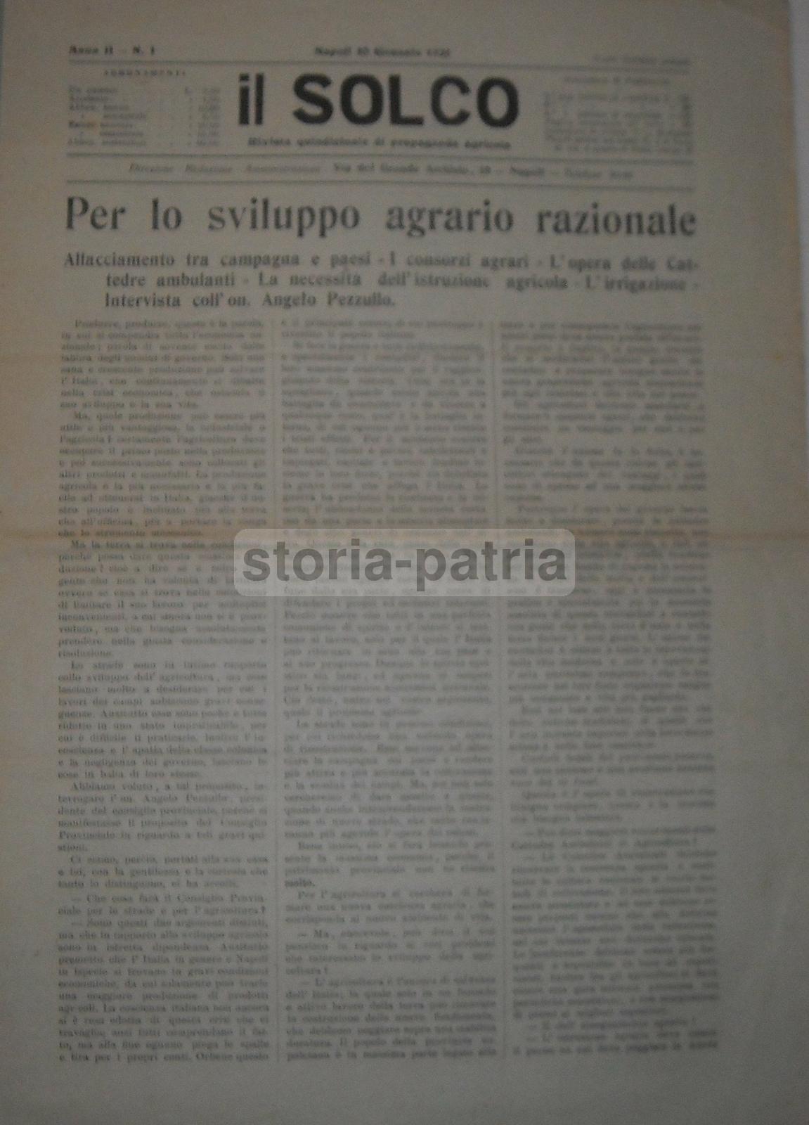 Agricoltura Meridionale, Napoli, Puglia, Frutta, Sementi, Lino, Pezzullo, La Bella, 1921 immagine 5