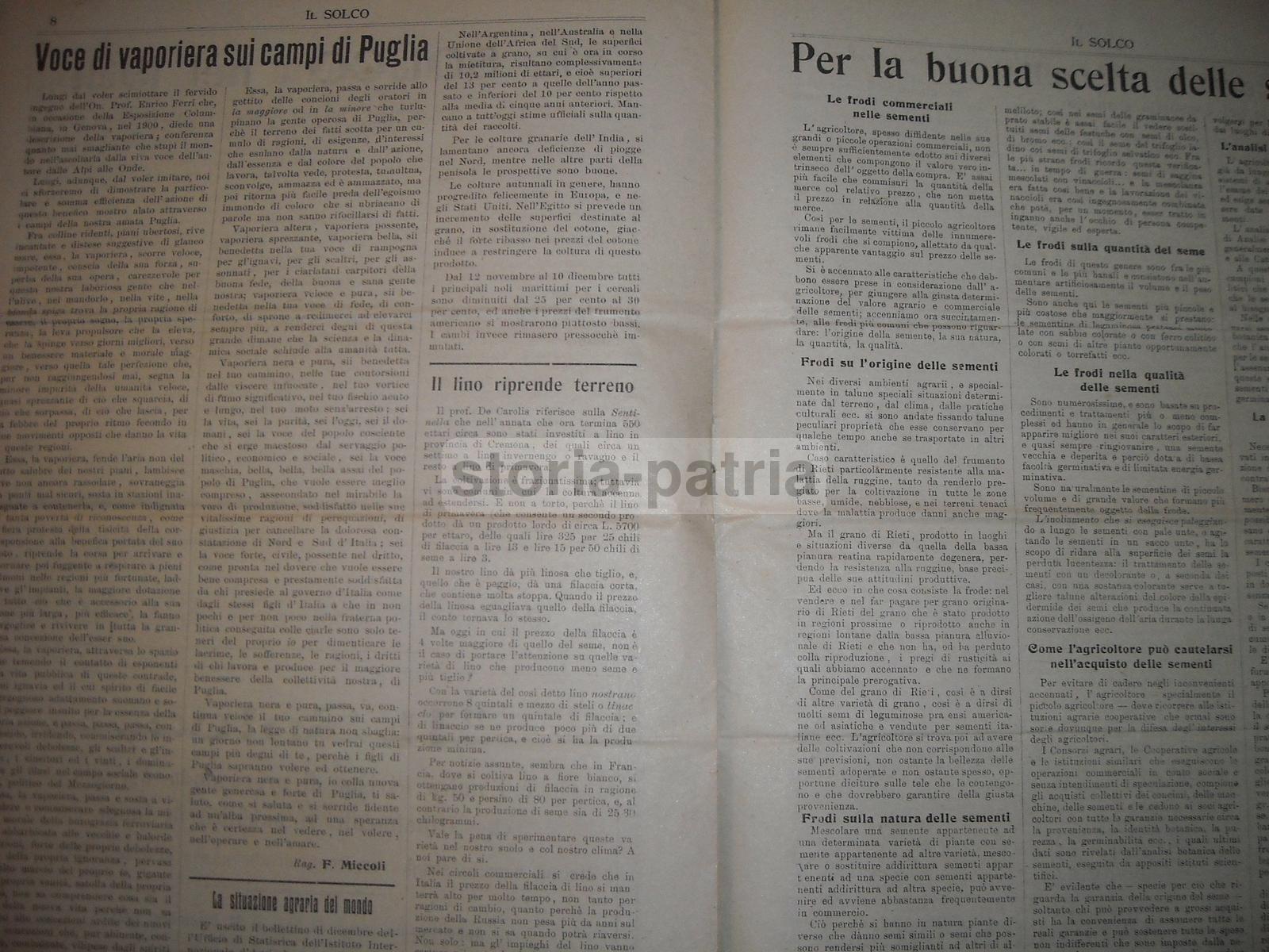 Agricoltura Meridionale, Napoli, Puglia, Frutta, Sementi, Lino, Pezzullo, La Bella, 1921 immagine 6