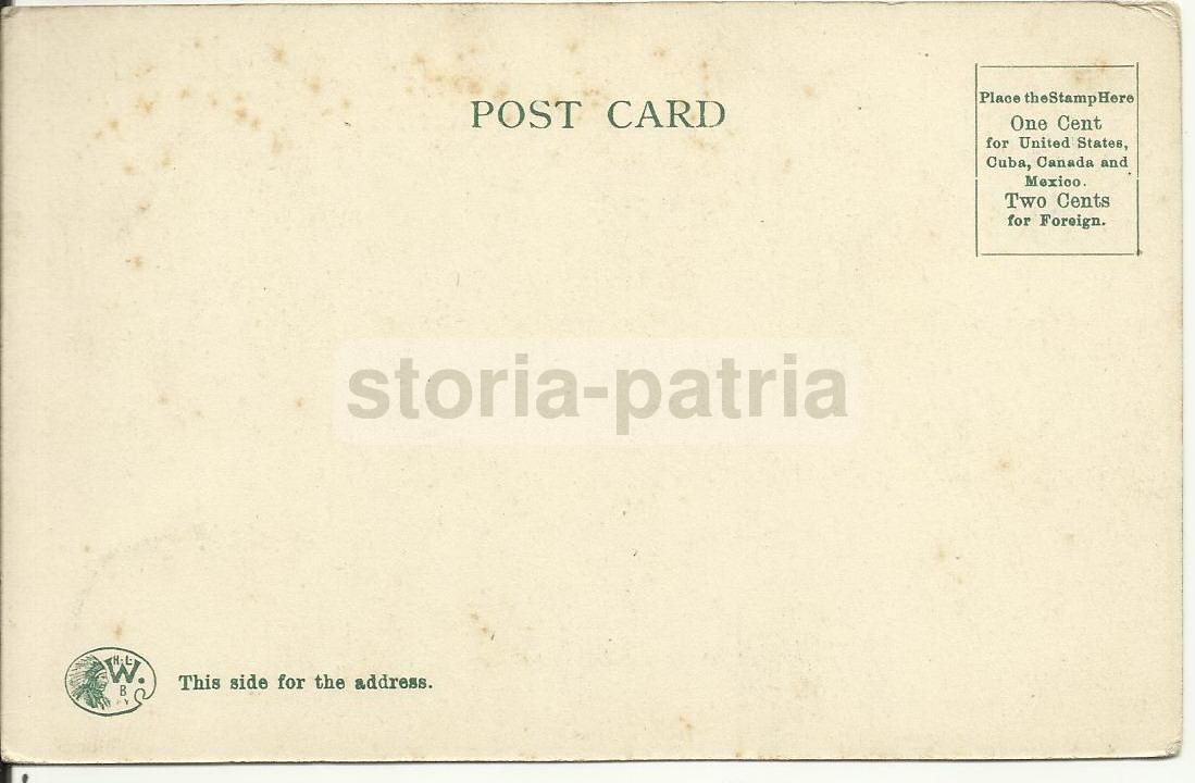America, Buffalo, Giardino Zoologico, Antica Veduta, Cartolina Da Collezione, Orso immagine 2