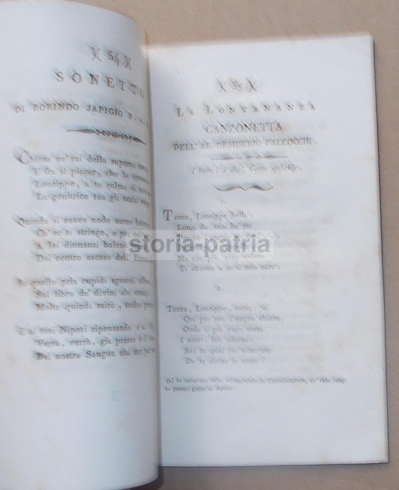 Antiche Nozze, Nobilta, Araldica, Caracciolo, Sarriano, Pallocchi, Rodi, Casalduni immagine 23