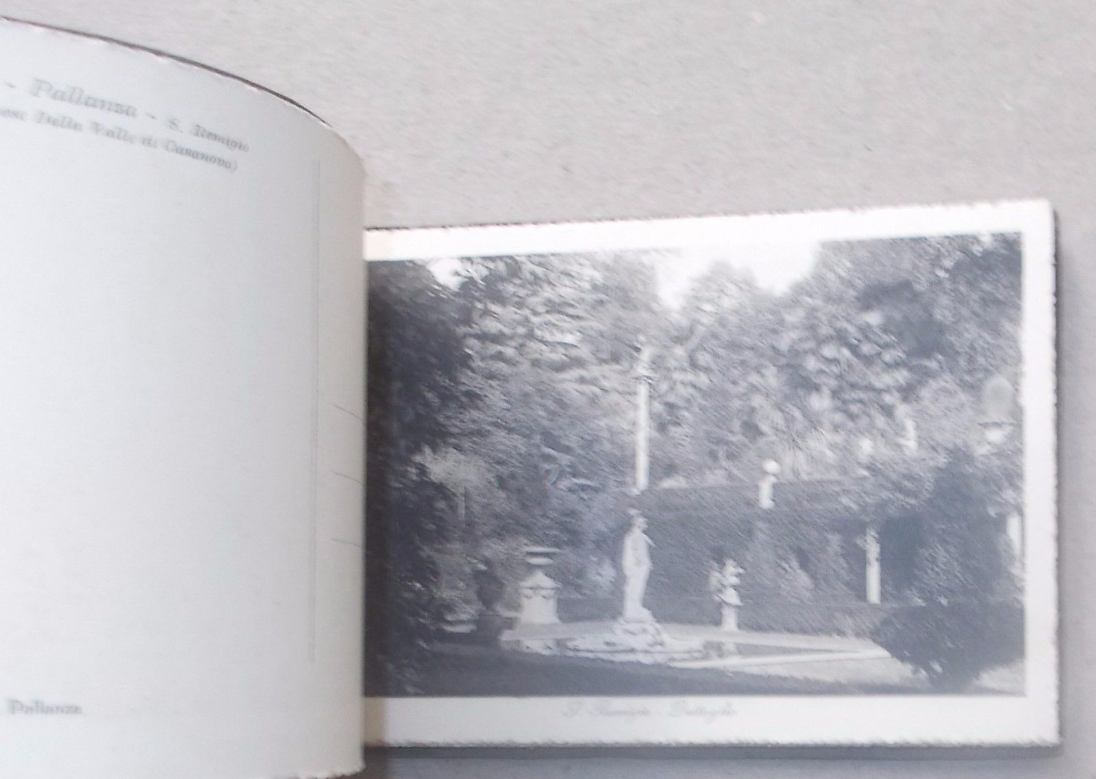 Antiche Ville, Pallanza, 12 Belle Vedute d'Epoca, Araldica, Della Valle Casanova immagine 4