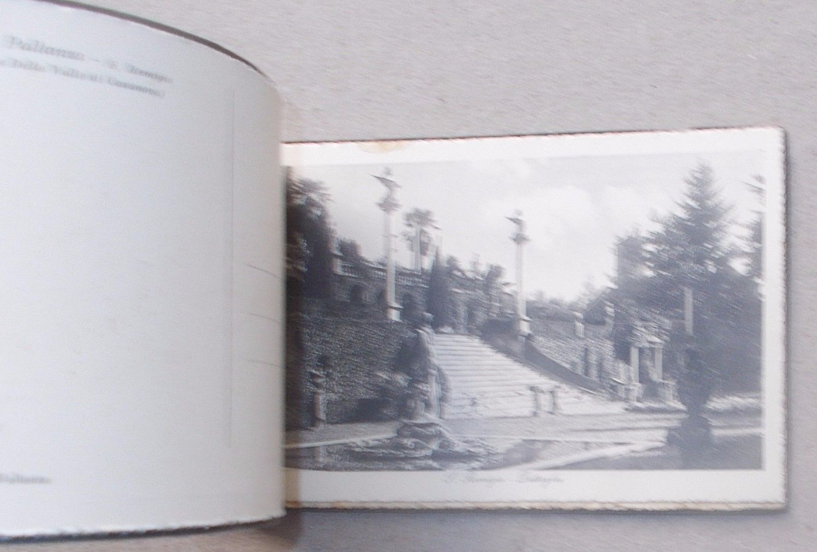 Antiche Ville, Pallanza, 12 Belle Vedute d'Epoca, Araldica, Della Valle Casanova immagine 5
