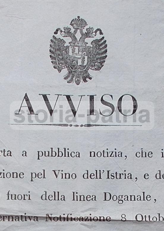 Antico Editto, Enologia, Vino, Istria, Venezia, Alberti, Stemma Araldico, Decorativo immagine 2