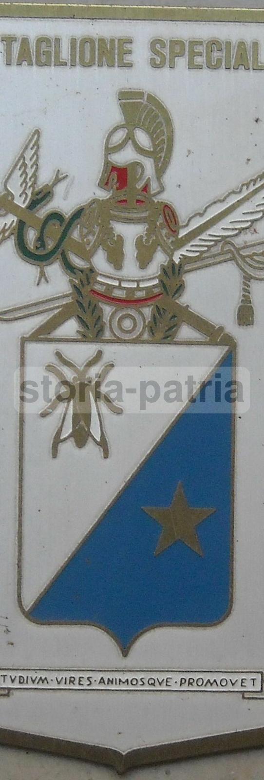 Araldica, Militaria, Allegorie, Caduceo, Spada, Penna, Battaglione Specializzati, Bello immagine 1