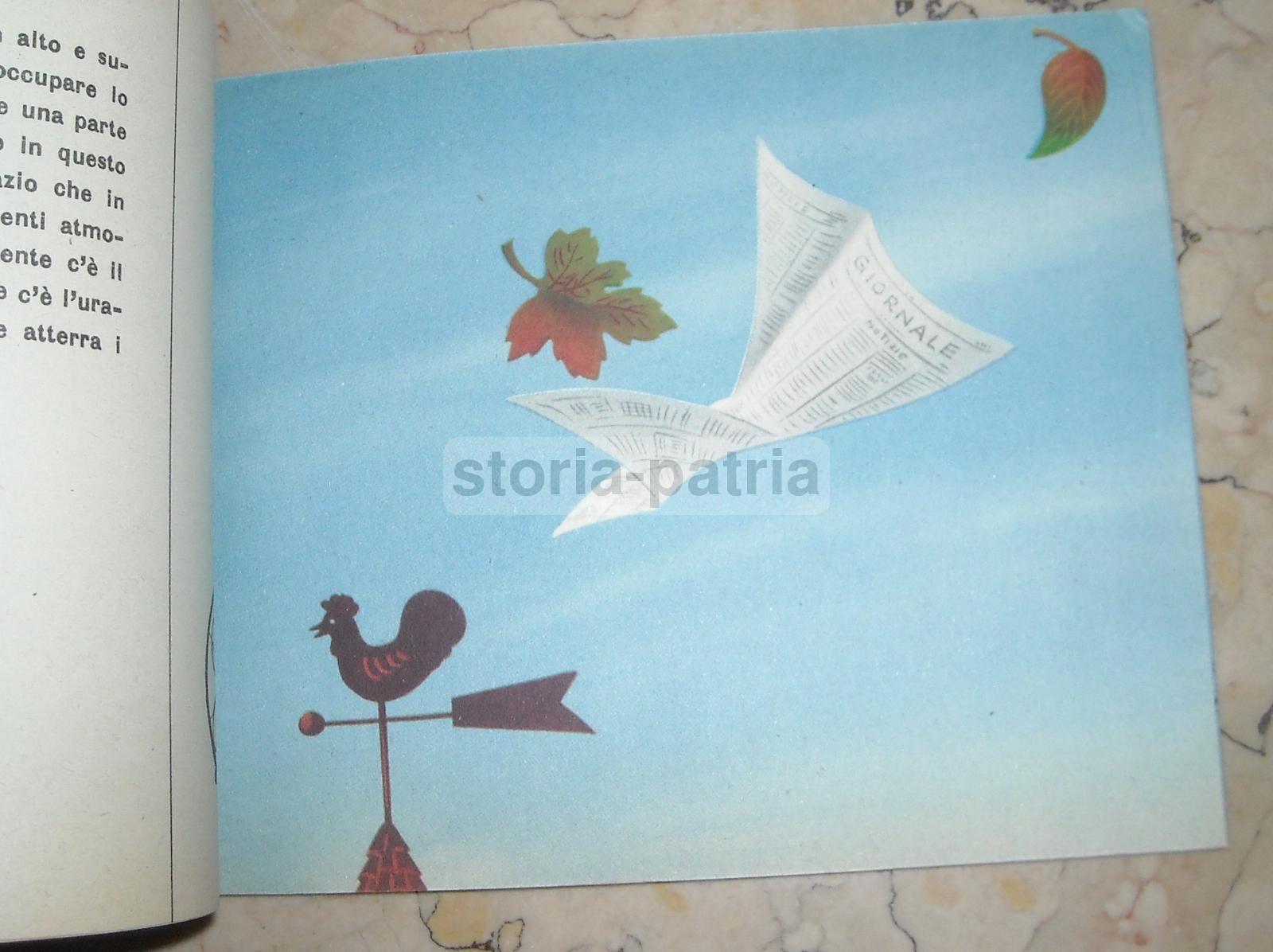 Arte, Design, Munari, Geografia, Mondo, Acqua, Terra, Mare, Pregevole Illustrato, Rarita immagine 6