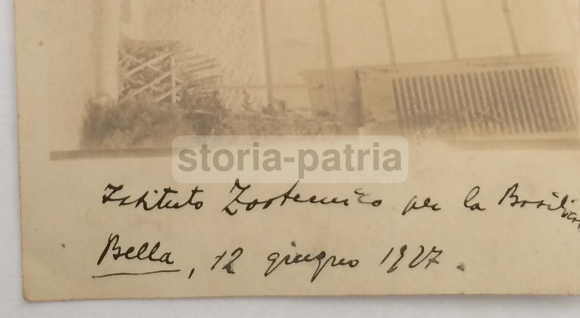 Basilicata, Potenza, Bella, Zootecnia, Rara Antica Foto Di Gruppo, Originale, d'Epoca immagine 1