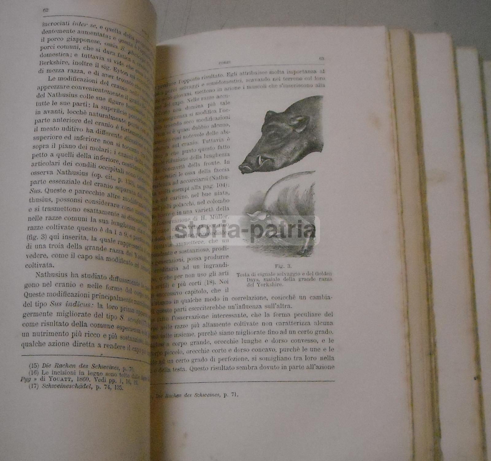 Botanica, Zoologia, Animali Domestici, Variabilita, Incroci, Sessualita, Darwin immagine 7