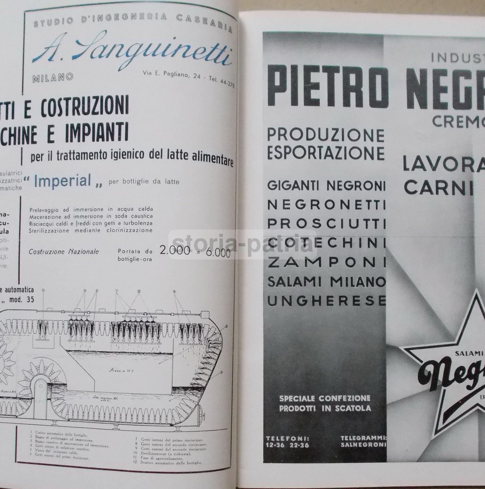 Caseificio, Latte, Latticini, Formaggi, Lodi, Colonie, Economia, Caffe, Tabacchi, Pesce immagine 3