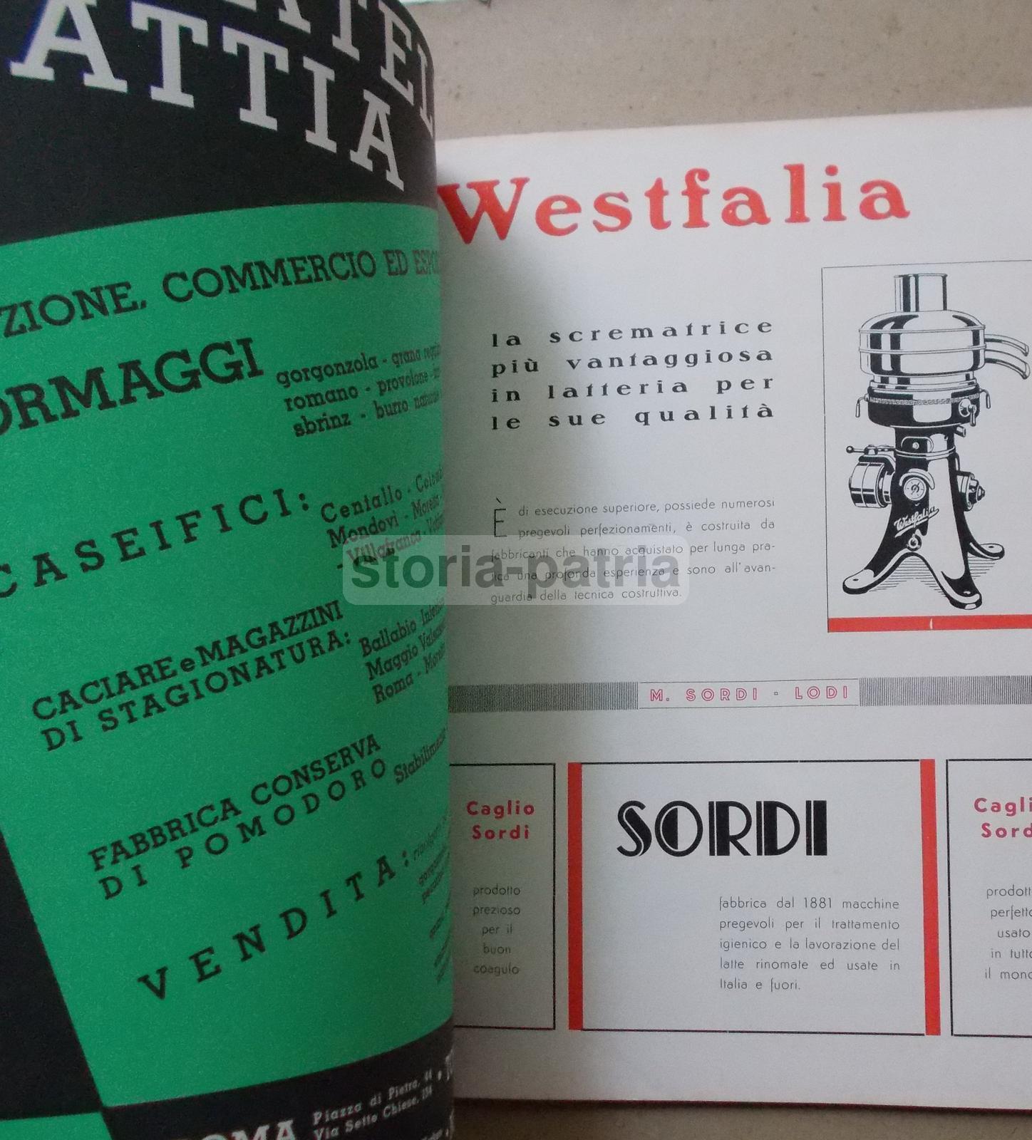 Caseificio, Latte, Latticini, Formaggi, Lodi, Colonie, Economia, Caffe, Tabacchi, Pesce immagine 4