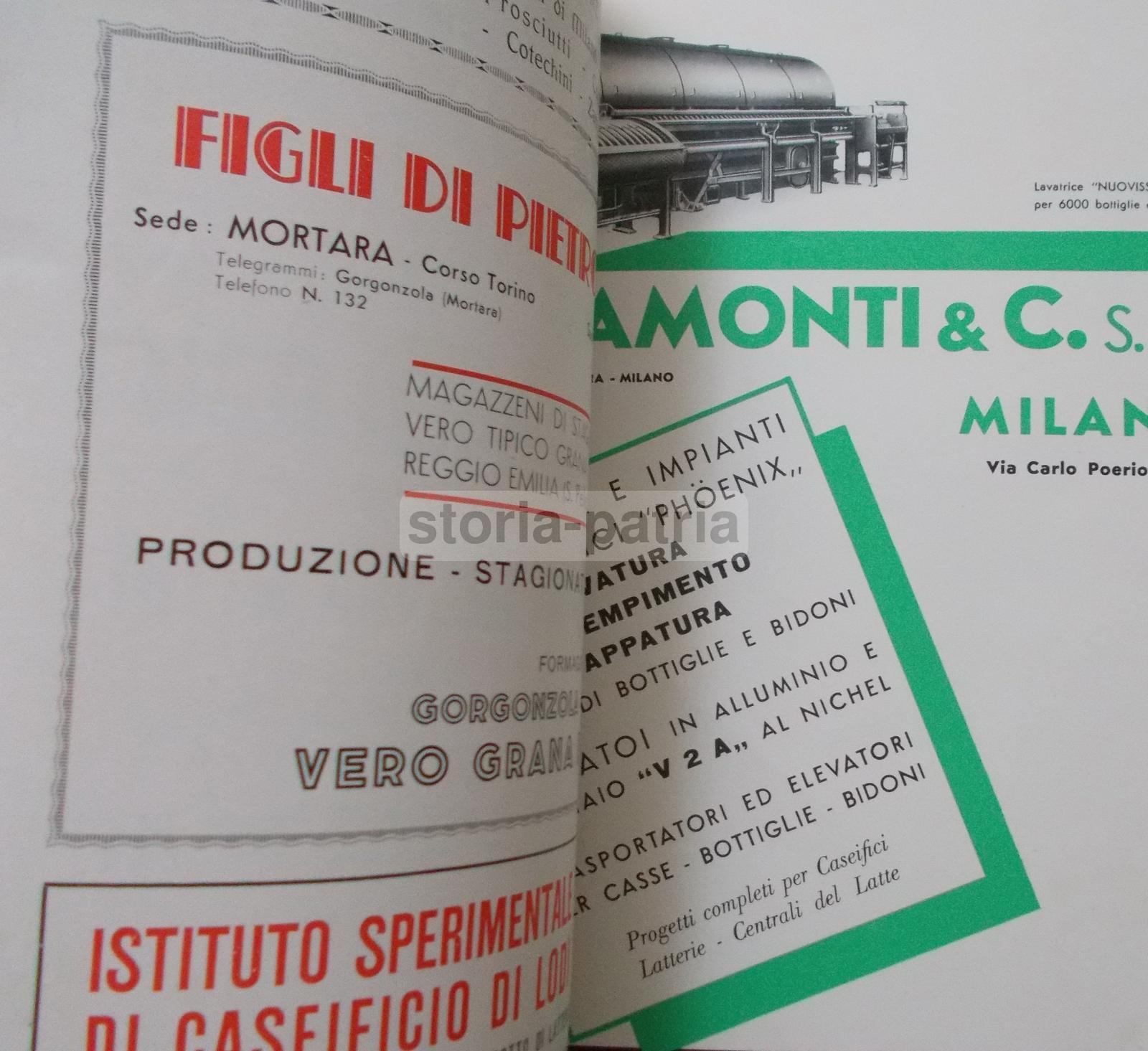 Caseificio, Latte, Latticini, Formaggi, Lodi, Colonie, Economia, Caffe, Tabacchi, Pesce immagine 7
