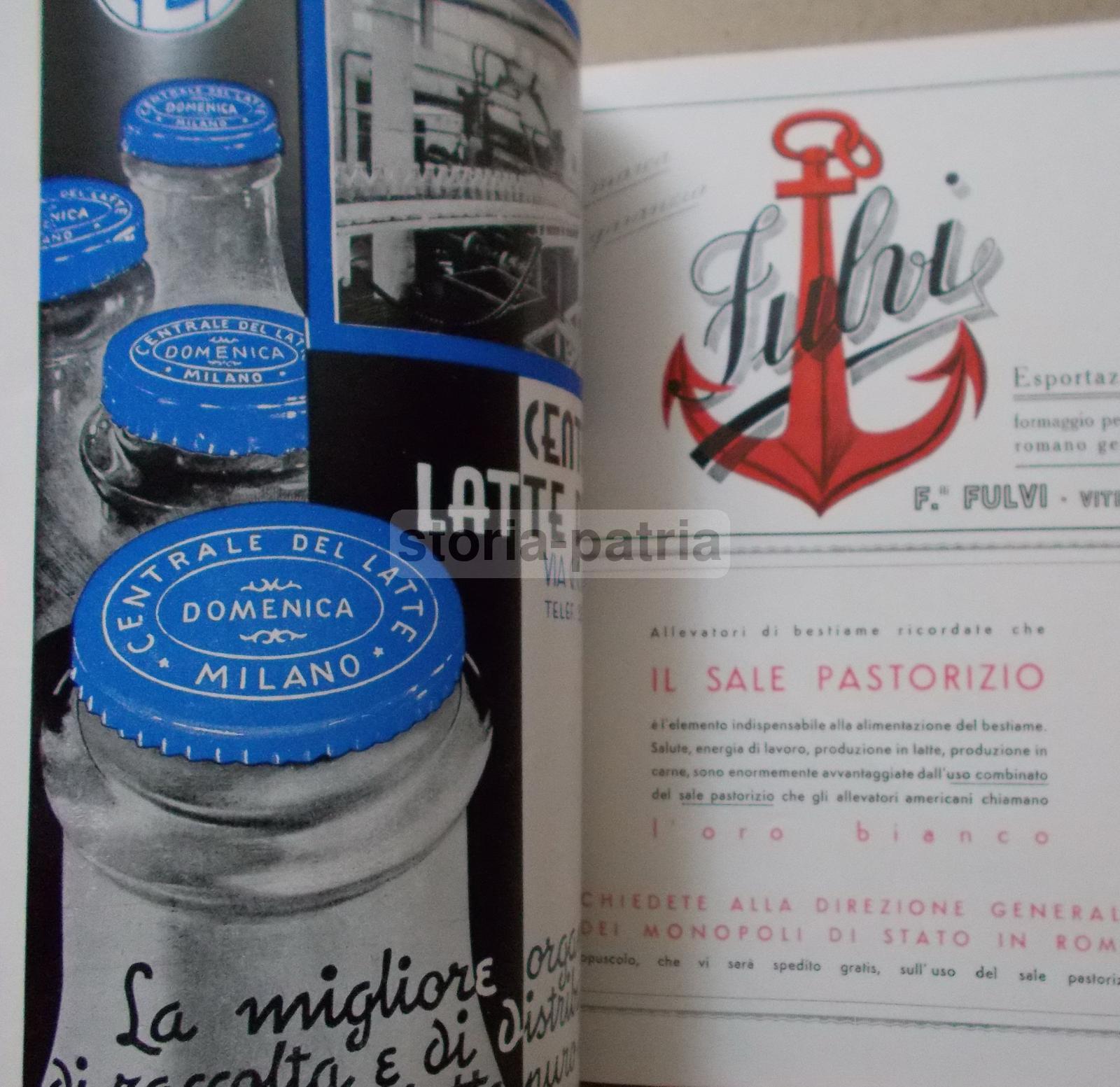 Caseificio, Latte, Latticini, Formaggi, Lodi, Colonie, Economia, Caffe, Tabacchi, Pesce immagine 9