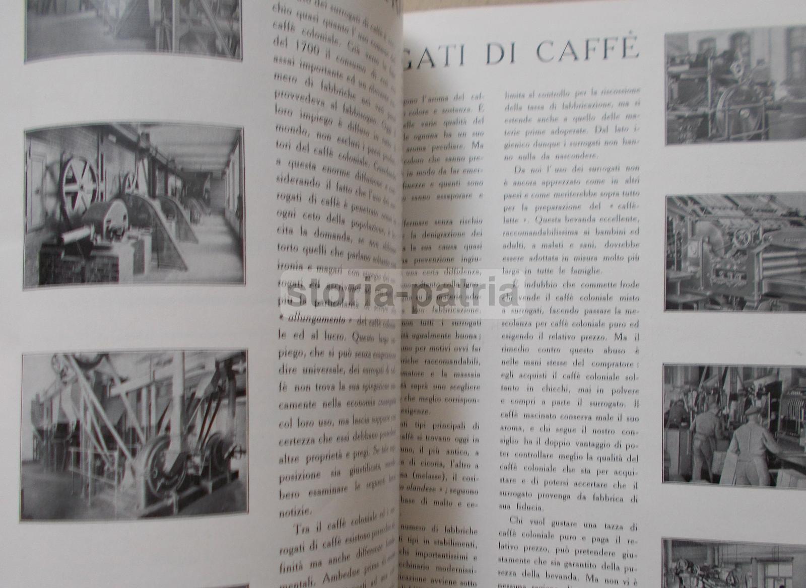 Caseificio, Latte, Latticini, Formaggi, Lodi, Colonie, Economia, Caffe, Tabacchi, Pesce immagine 10