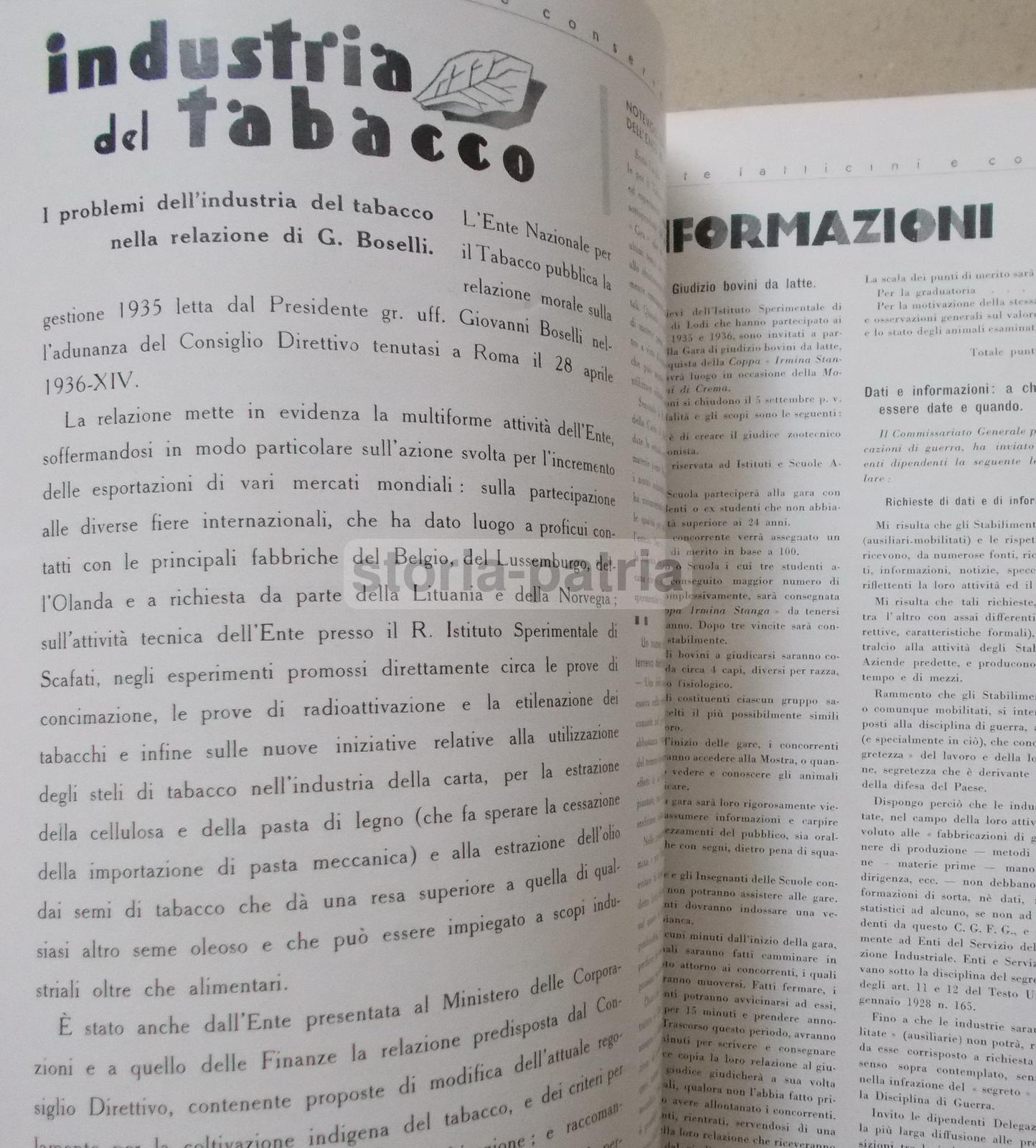 Caseificio, Latte, Latticini, Formaggi, Lodi, Colonie, Economia, Caffe, Tabacchi, Pesce immagine 12