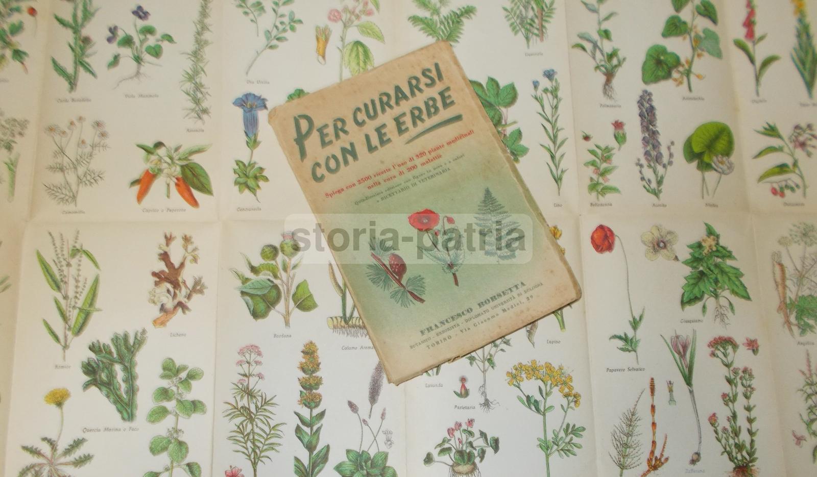 Erbe, Erboristeria, Botanica, Malattie, Medicina, Ricettario, Veterinaria, Massaggio immagine 7